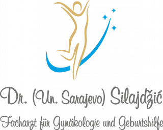 Logo_Silajdzic